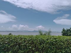 -深圳湾公园(南山区)