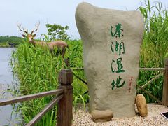 -溱湖国家湿地公园