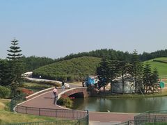 -迪茵湖田家舍生态农场