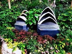 -南宫五洲植物乐园