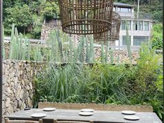 -MOJ coffee(瓯海泽雅水碓坑店)