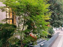 -徐家汇源景区-衡山坊
