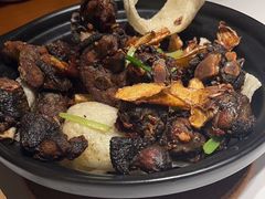 -宋小谨(惠安禹洲店)