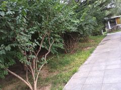 -南长河公园