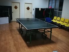 -东丽温泉羽毛球