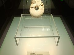 -辽宁省博物馆