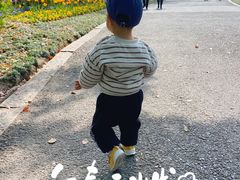 -圩墩遗址公园