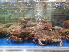 -盒马X会员店(王府井奥莱UP TOWN店)