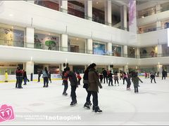 -炫采冰场(红博中央公园商场店)