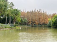 -黄兴公园