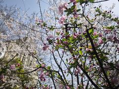 -徐家汇源景区-衡山公园