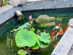 -汤宴·参须肚包鸡(南京路店)