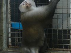 -黔灵山公园