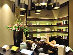 -成都峨眉雪芽大酒店