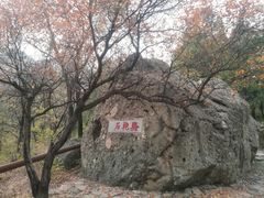 -阳台山自然风景区