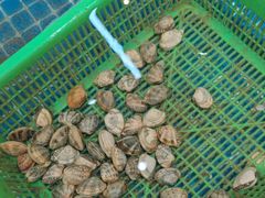 -和源祥·日照菜扛把子(万平口一店)