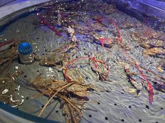 -澜悦港海鲜体验主题餐厅