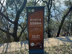 -惠山国家森林公园