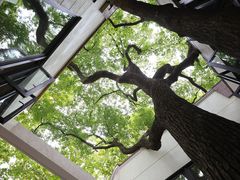 -衡山路(地铁站)