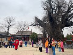 -大槐树寻根祭祖园