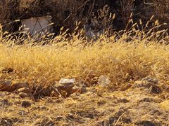 -采薇庄园四季滑雪场