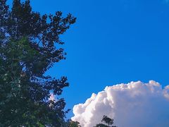 -阳台山森林公园