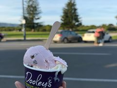 -Dooley's Premium Ice Cream