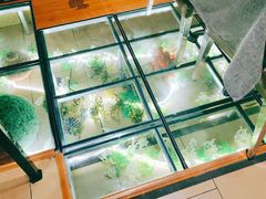 -彼芝奇比萨(红坊店)