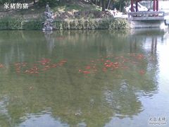 -江湾体育中心游泳馆