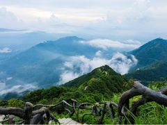 -梧桐山风景名胜区