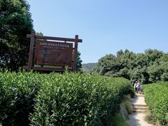 -西湖风景区十里琅珰-五云山