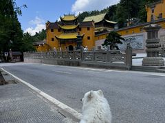 -九华山风景区