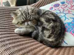 -参差咖啡(水果湖公园店)