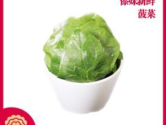 菠菜-傣妹火锅(四川北路店)