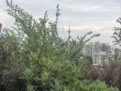 -南翠屏公园