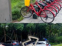-杭州植物园