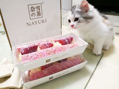 -奈雪的茶(漫广场店)