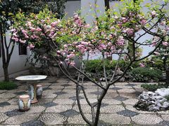 -全季酒店（苏州观前街平江路店）(原临顿路地铁站店)