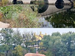 -二一九公园