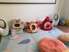 -李小姐の猫咖啡馆(五角场店)