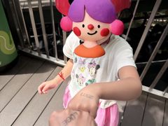 -圣淘沙天际线斜坡滑车