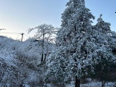 -大奇山国家森林公园