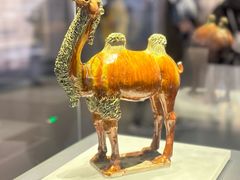 -贵州省博物馆(新馆)