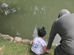 -乌村