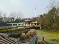 -蠡湖中央公园