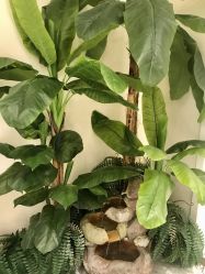 -健身堂科技美肌SPA