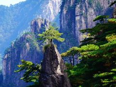 -黄山风景区