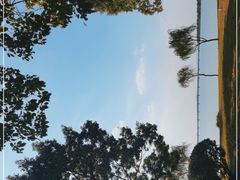 -漕湖湿地公园