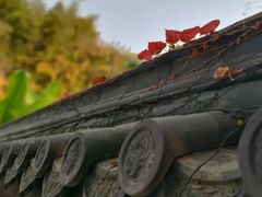 -天朝元辅-徐州民俗博物馆