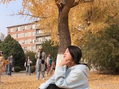 -辽宁大学(崇山校区)